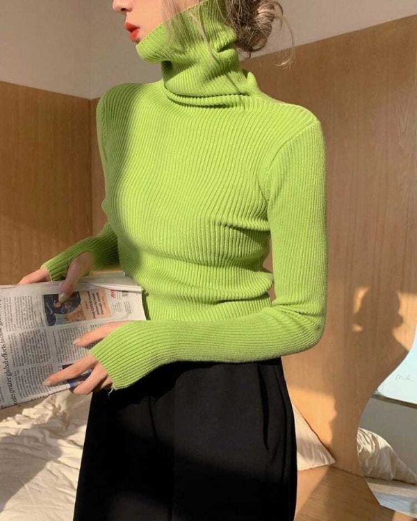 Turtleneck Sweater